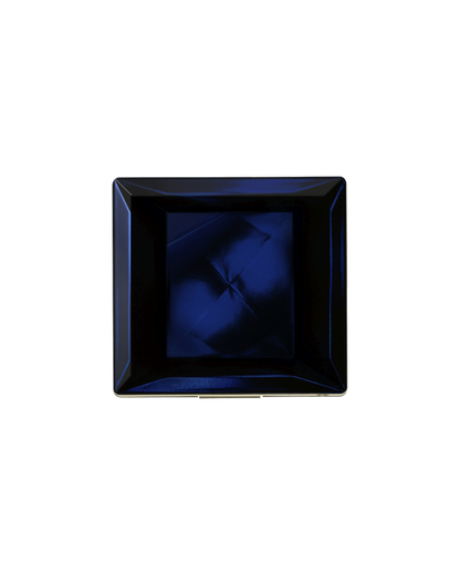 Powder Blush Duo Case