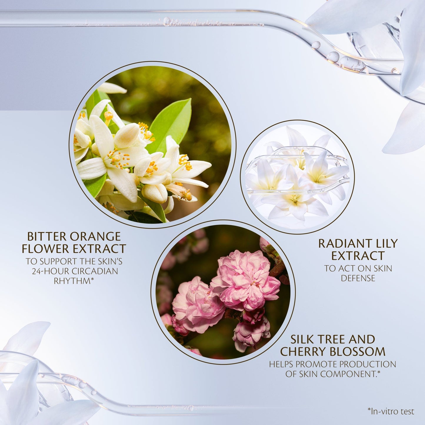 Advanced Intensive Night Cream - Refill