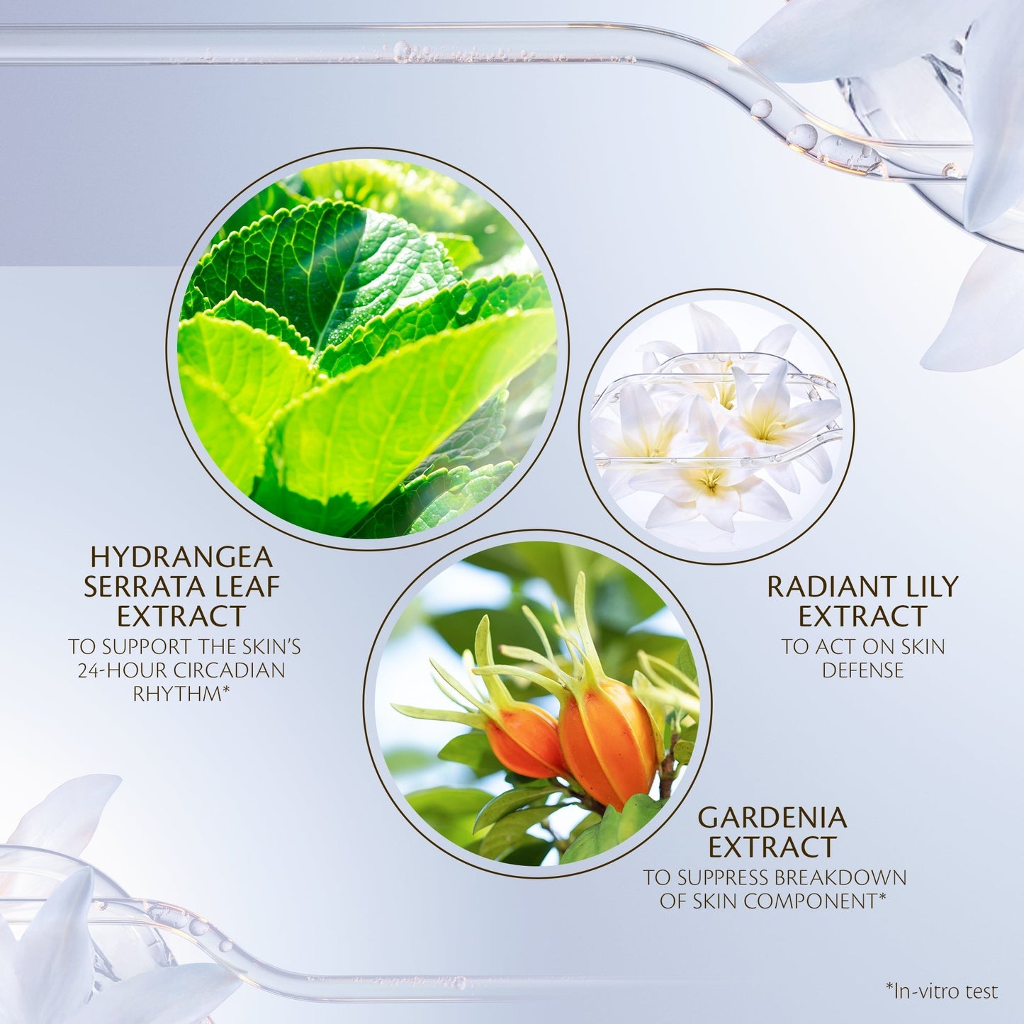 Advanced Protective Cream